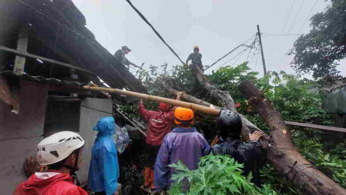 Hujan Lebat dan Angin Kencang