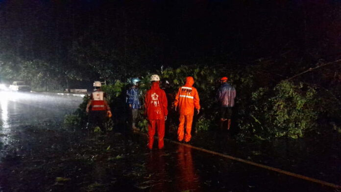 Pohon tumbang di Jalan nasional Siliwangi Kota Banjar