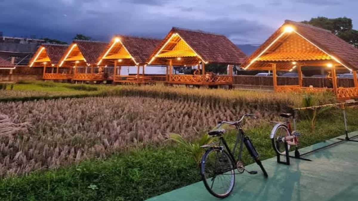 Rumah Makan Botram di Sawah Ciamis, Nikmati Kuliner Sunda di Tengah Asrinya Pedesaan