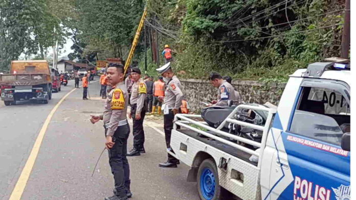 Seorang Anak Meninggal Usai Tertimpa Pohon Pinus Tumbang di Jalur Cadas Pangeran Sumedang