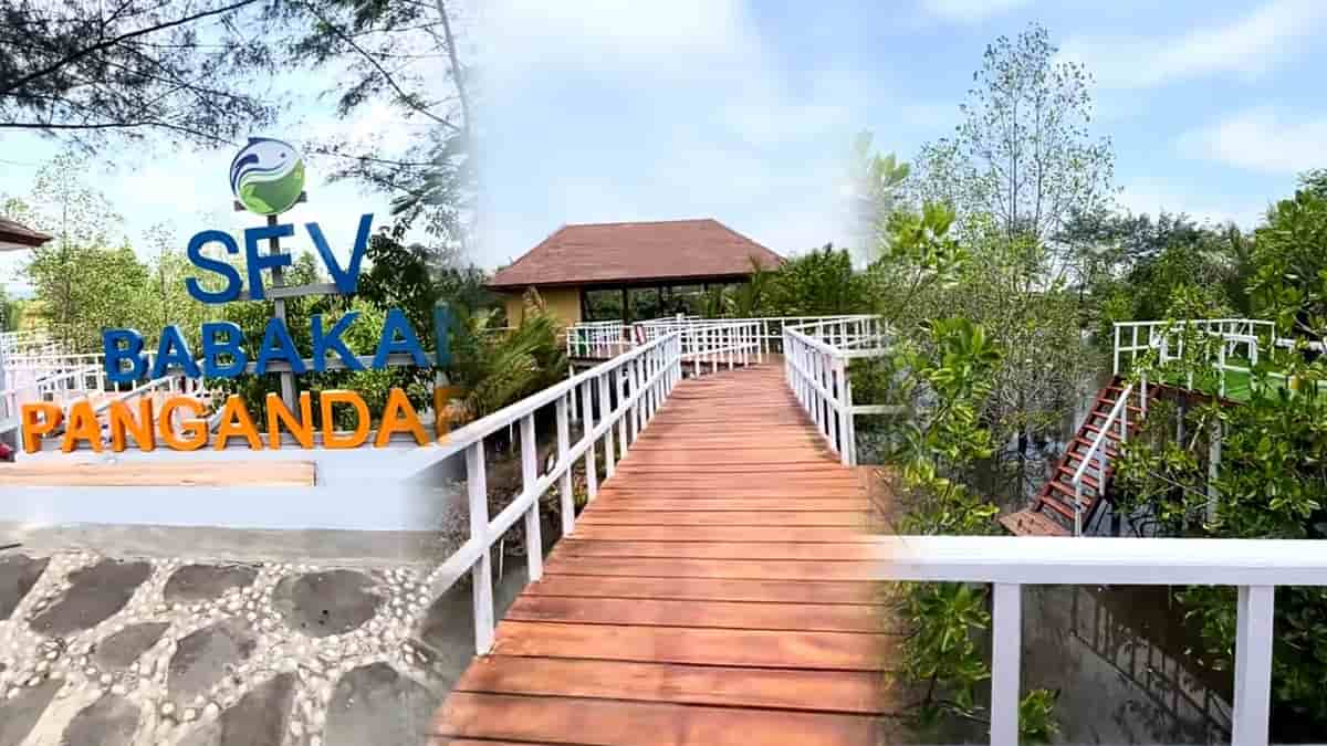 Destinasi Wisata Baru Taman Mangrove Babakan di Pangandaran