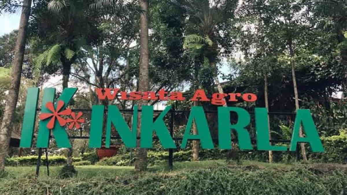 Mau Liburan ke Tempat Asri? Wisata Agro Inkarla di Cianjur Ini Wajib Dikunjungi