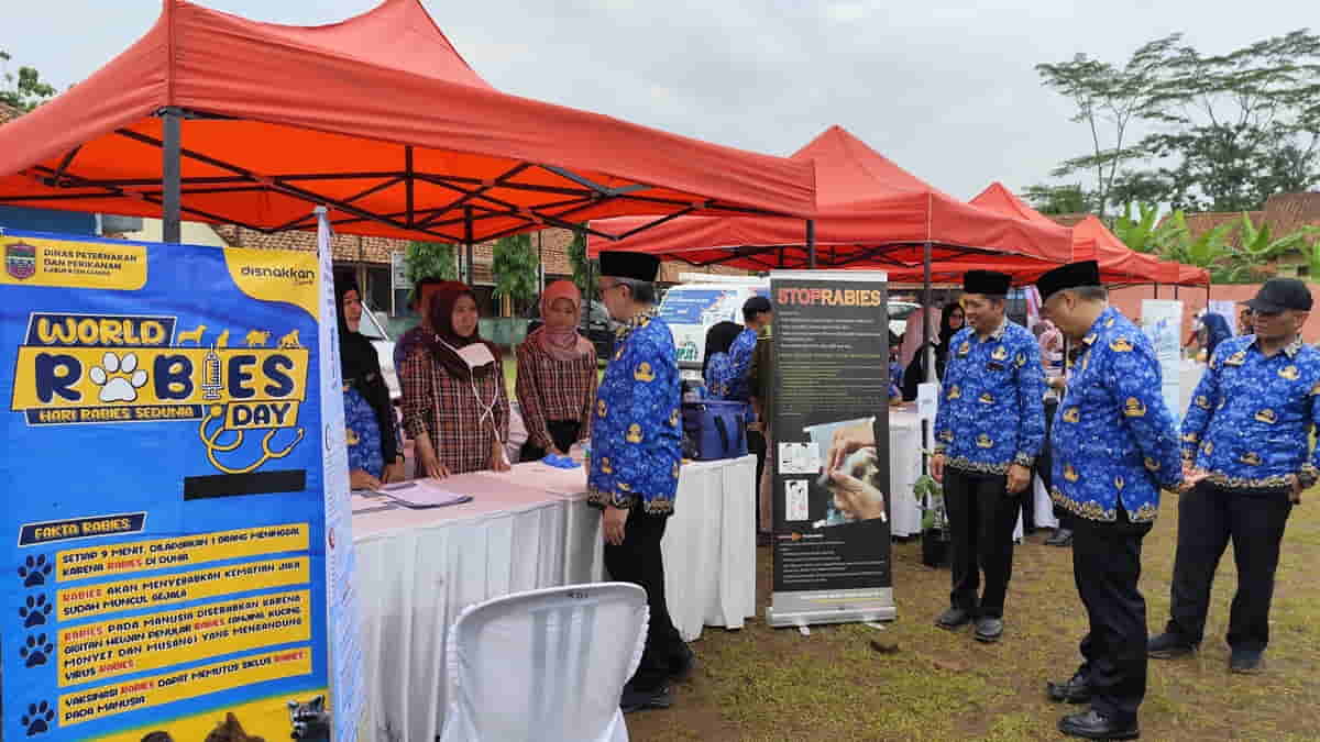 Disnakkan Ciamis Sebut Tidak Ada Kasus Rabies Sepanjang Tahun 2024 