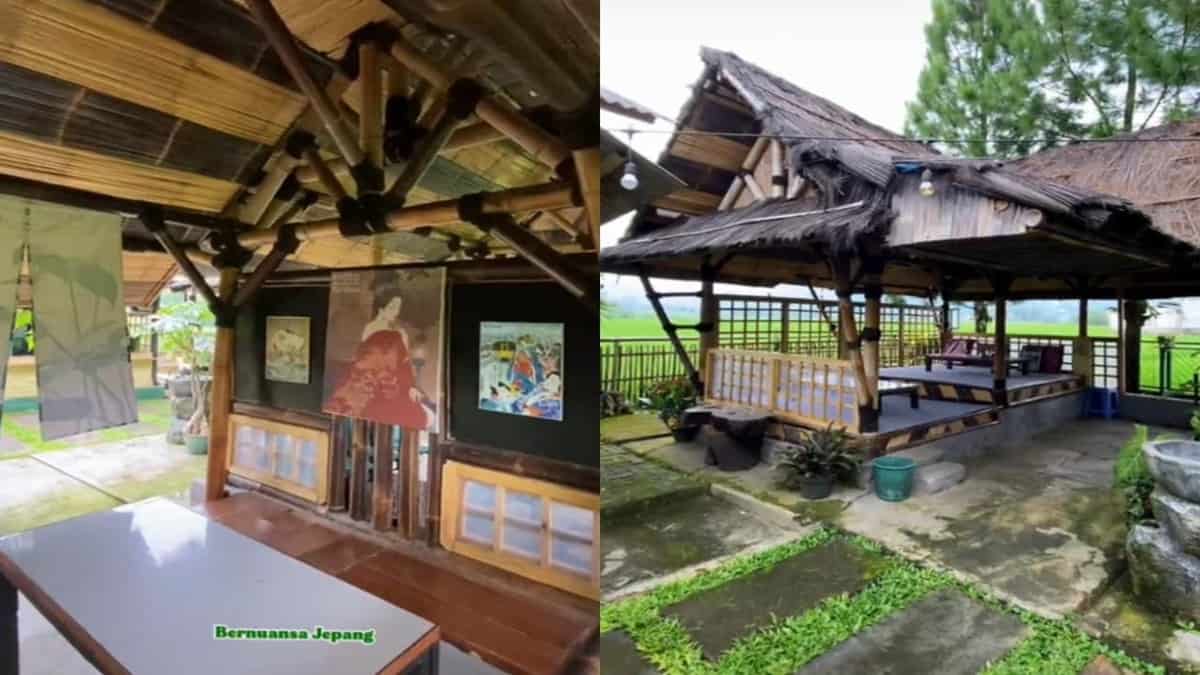 Patanjala Coffee, Cafe Nuansa Jepang di Ciamis dengan View Sawah dan Gunung