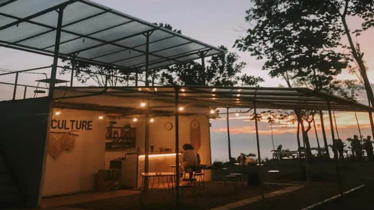 Ngopi Sambil Healing? Kunjungi Kind Culture Tasikmalaya, Coffe Shop Unik di Tengah Hutan Pinus