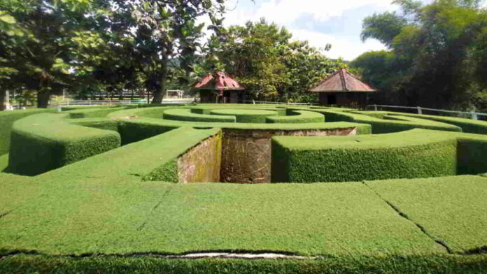 Nasib Taman Ecopark