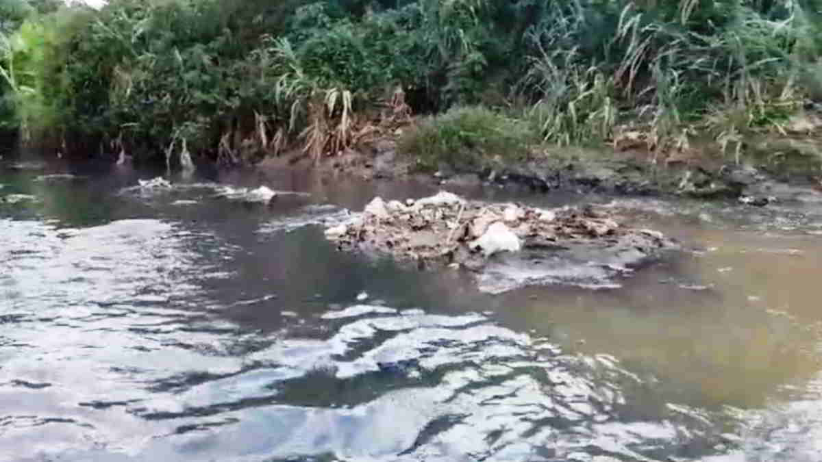 Aktivis Lingkungan Temukan Cairan Hitam Bau Menyengat di Sungai Cimanuk Garut, Diduga Limbah Industri