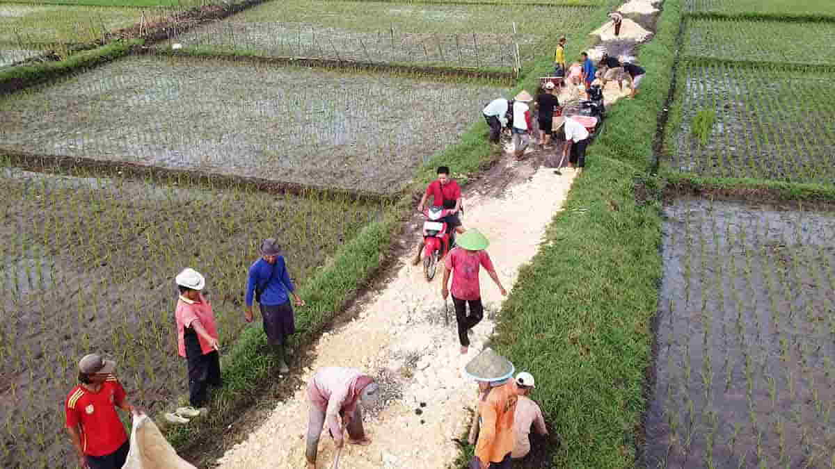 Bertahun-tahun Rusak, Puluhan Warga di Lakbok Ciamis Perbaiki Jalan Pertanian secara Swadaya