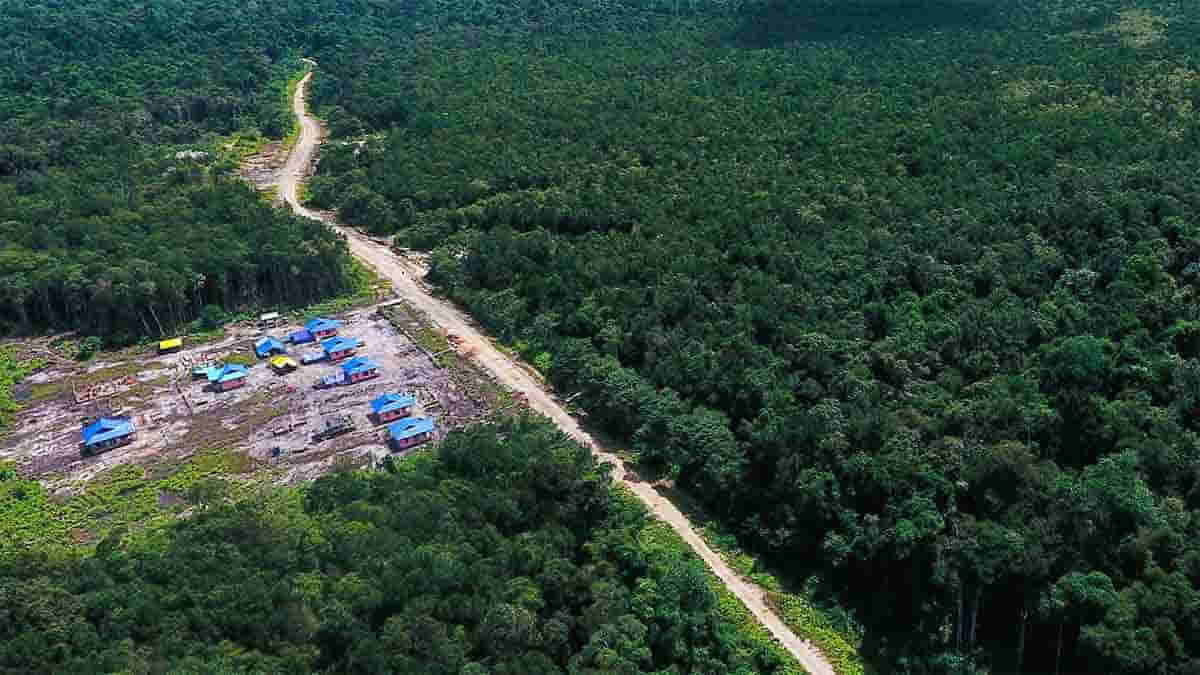 Menteri Kehutanan Raja Juli Dikritik Terkait Rencana Alih Fungsi Hutan