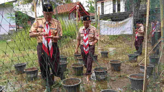 Nanang Permana: Gerakan Nanam Padi di Ciamis Bentuk Anggota Pramuka Lebih Mandiri