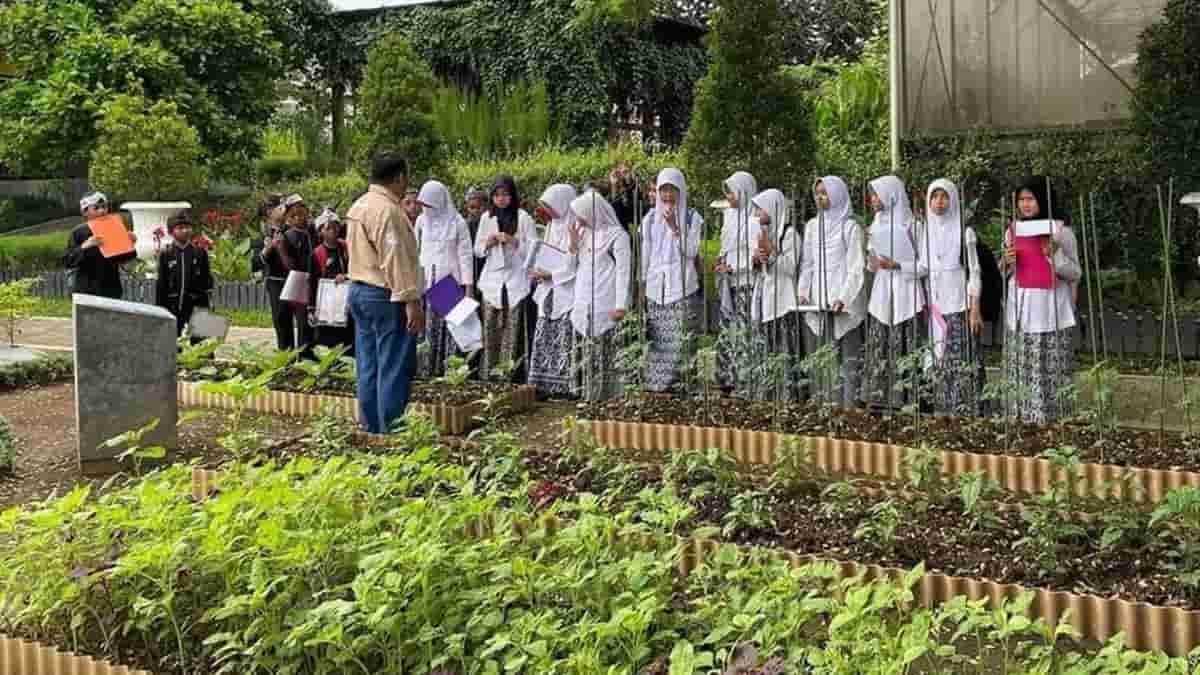 Urban Farming Center Purwakarta, Destinasi Wisata Edukasi Pertanian di Tengah Kota yang Unik