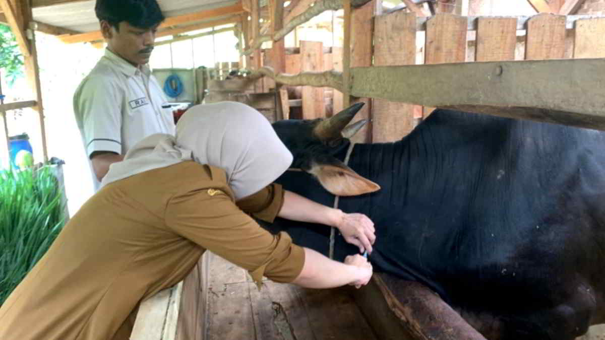 Pemda Ciamis Keluarkan Surat Himbauan Peningkatan Kewaspadaan PHMS