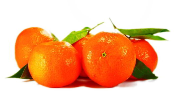Jenis Jeruk Mandarin
