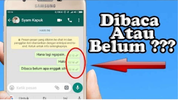 Cara Mengetahui WA Dibaca Jam Berapa dengan Mudah