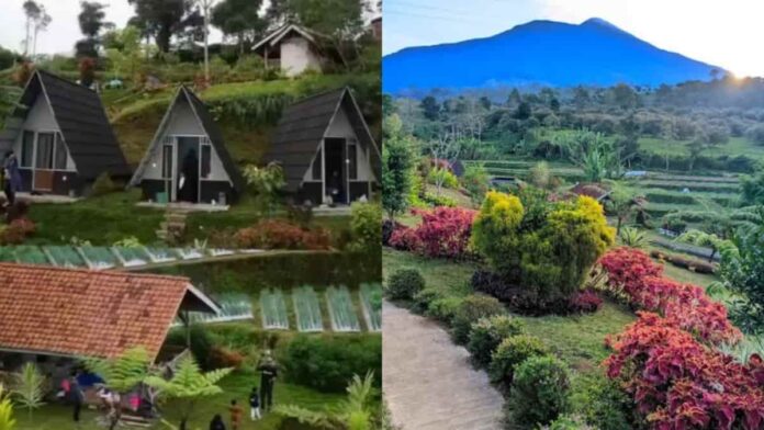 Hortensia Garden Garut