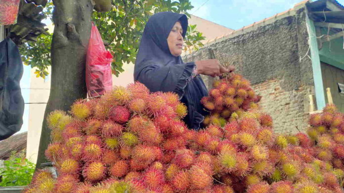 Ini Keunggulan Rambutan si Batulawang Khas Kota Banjar yang Banyak Diburu