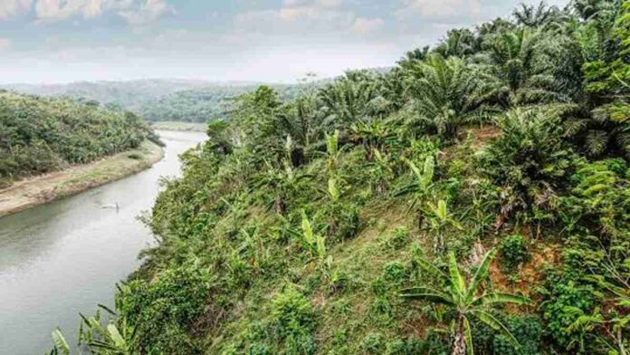 Menguak Sejarah Sungai Citarum di Provinsi Jawa Barat