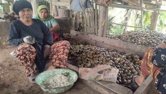 Pembuat kolang-kaling di Pamarican Ciamis kebanjiran pesanan