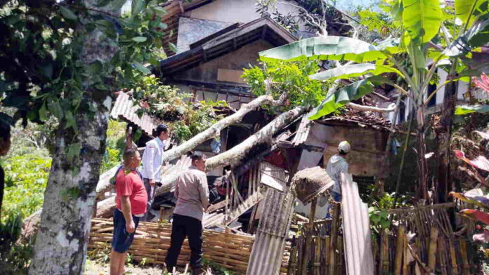 Pohon Roboh Timpa 2 Rumah Warga di Garut