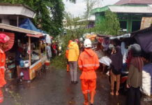 Pedagang Pasar Ciamis terluka gegara tertimpa pohon tumbang