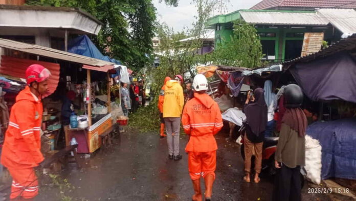 Pedagang Pasar Ciamis terluka gegara tertimpa pohon tumbang