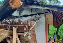 Rumah rusak tertimpa pohon pete di Tasikmalaya