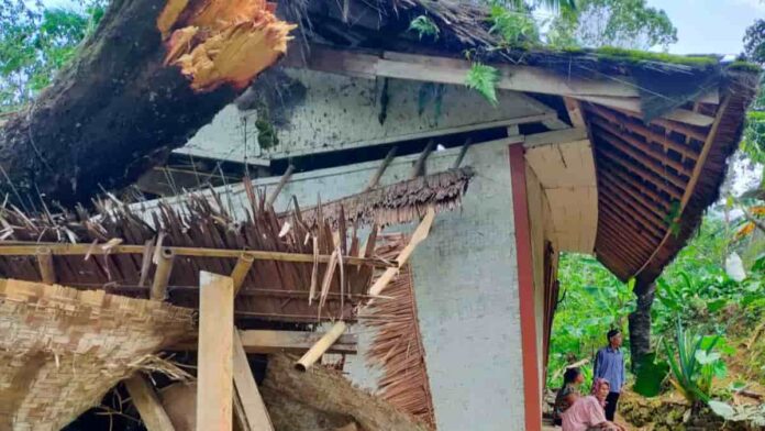 Rumah rusak tertimpa pohon pete di Tasikmalaya