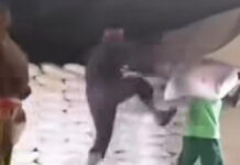 Video viral kuli panggul ditendang mandor di Jambi