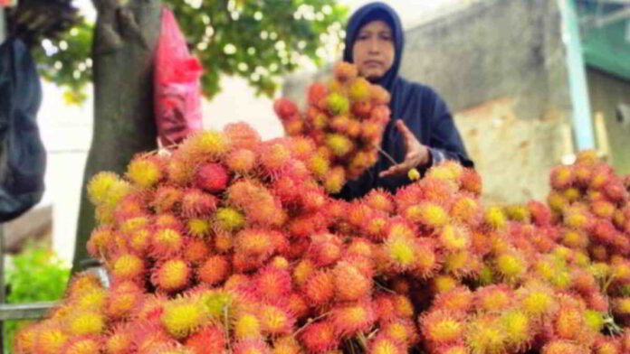 Produksi Rambutan si Batulawang