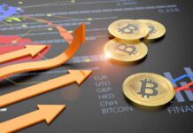 Apa Saja Saham Crypto yang Akan Naik Tahun 2025. Simak Ulasannya