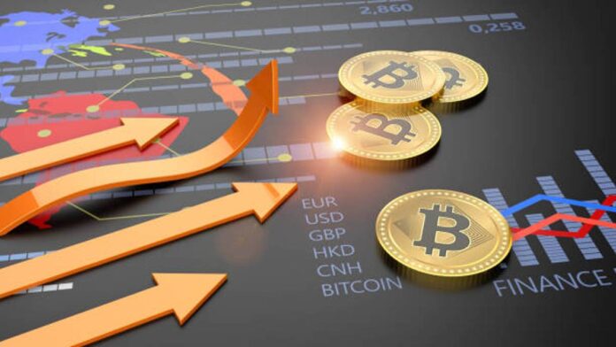 Apa Saja Saham Crypto yang Akan Naik Tahun 2025. Simak Ulasannya