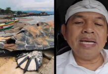 Dedi Mulyadi respon viralnya kerusakan patung penyu dari kardus di Sukabumi