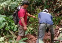 Hutan Langkaplancar Pangandaran