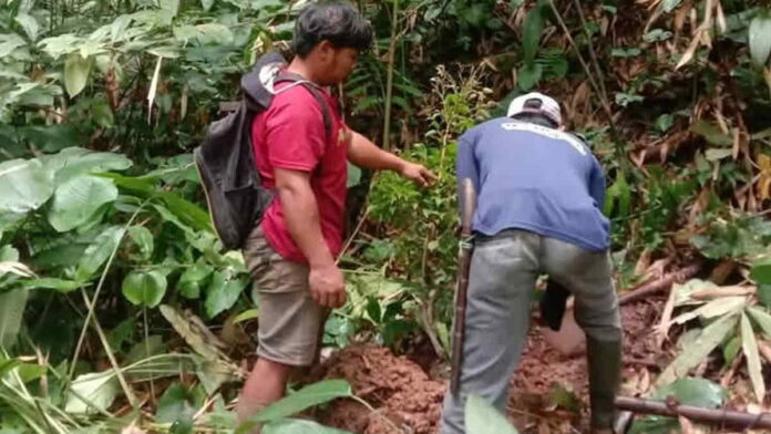 Hutan Langkaplancar Pangandaran