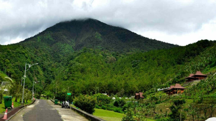 Mitos Pohon Dewandaru Gunung Kawi, Mendatangkan Kekayaan