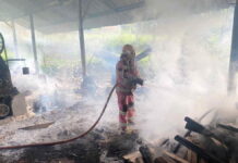 Pabrik Penggergajian Kayu di Pamarican Ciamis Terbakar