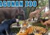 Mengungkap Sejarah Taman Margasatwa Ragunan, Warisan dari Masa ke Masa