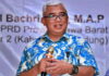 tanaman kakao