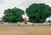 Sejarah Alun-Alun Kidul Yogyakarta dan Fungsinya pada Zaman Dahulu